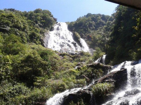 强支撑，促转型，山东联通发展数智应用